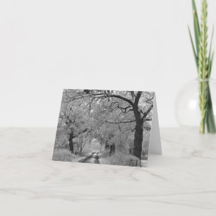 Country Road in Winter: Cheshire Card