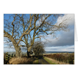 "Country Road" Northumberland Angleterre