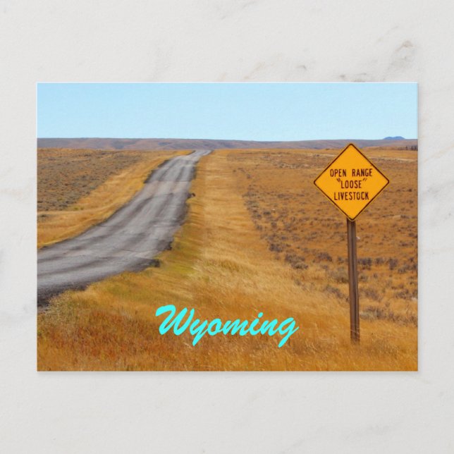 Country Road Open Range Wyoming Postcard (Front)