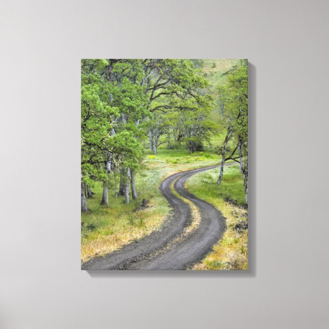 Country road through trees, Oregon Canvas Print (Front)