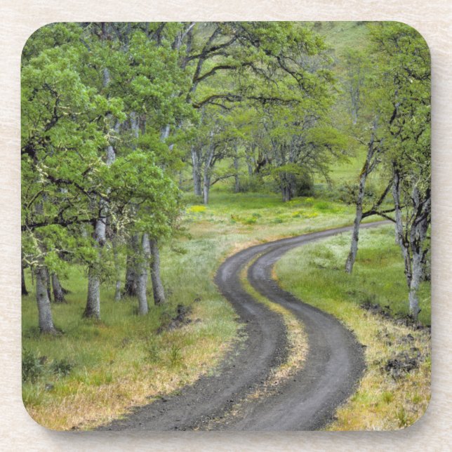 Country road through trees, Oregon Coaster (Front)