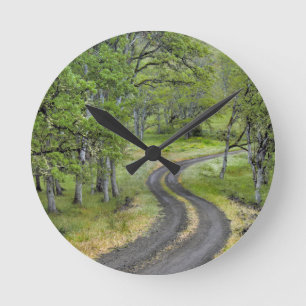 Country road through trees, Oregon Round Clock