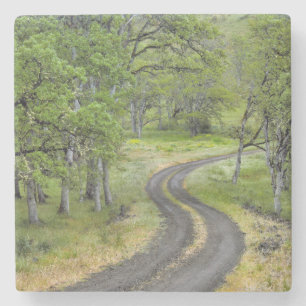 Country road through trees, Oregon Stone Coaster
