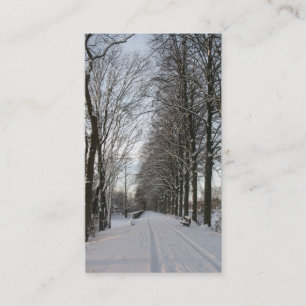 Country Road with Trees and Snow Photo Card