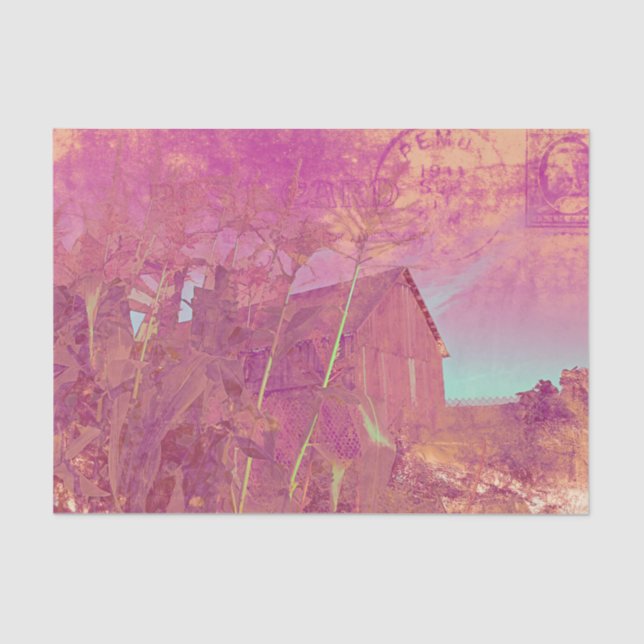 Country Rustic Barn Pink Yellow Ephemera Script Tissue Paper (Front)