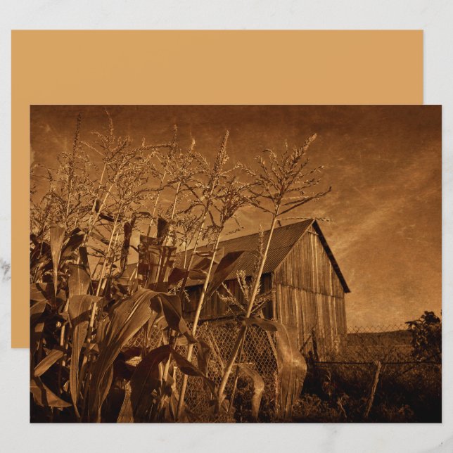 Country Rustic Barn Vintage Brown Farm Texture (Front/Back)