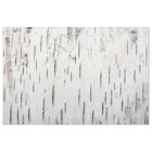 Country Rustic Birch Tree Bark