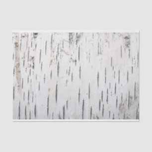 Country Rustic Birch Tree Bark Tissue Paper