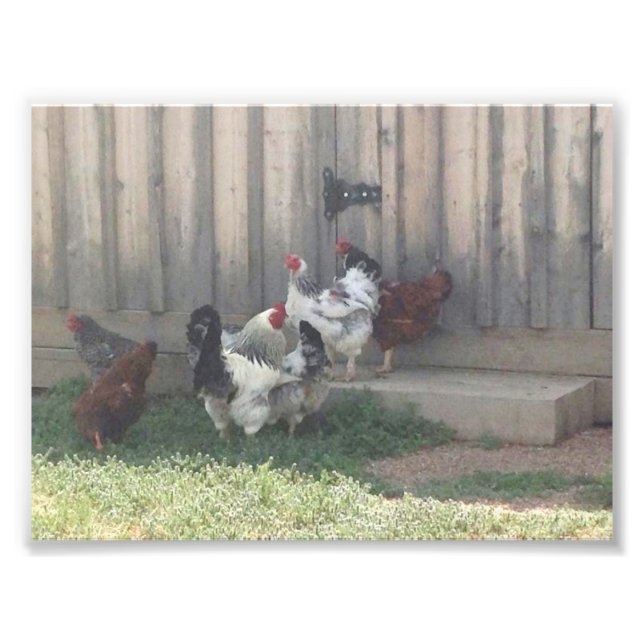 Country Scene Photo Print (Front)
