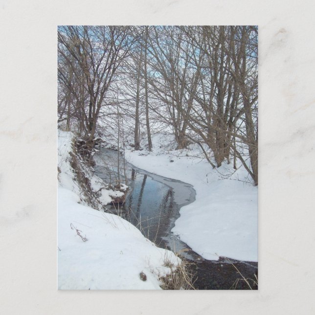 Country Snow Postcard (Front)