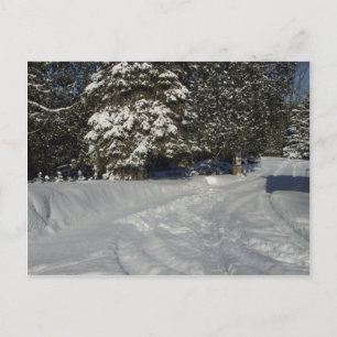 Country Snowy Driveway Postcard
