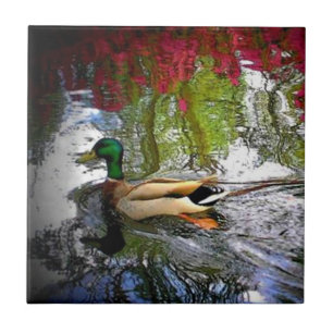 Country Southern Duck Tile