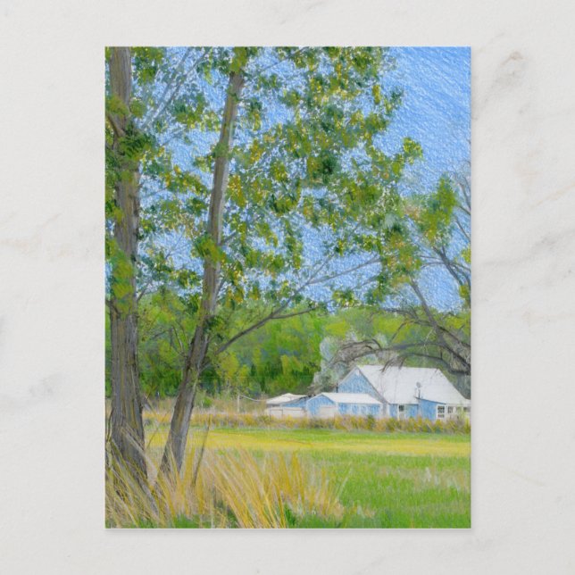 Country Spring Coloured Pencil Drawing Postcard (Front)