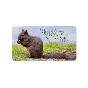 Country Squirrel Return Address Labels