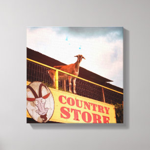 country store goat on the roof canvas print