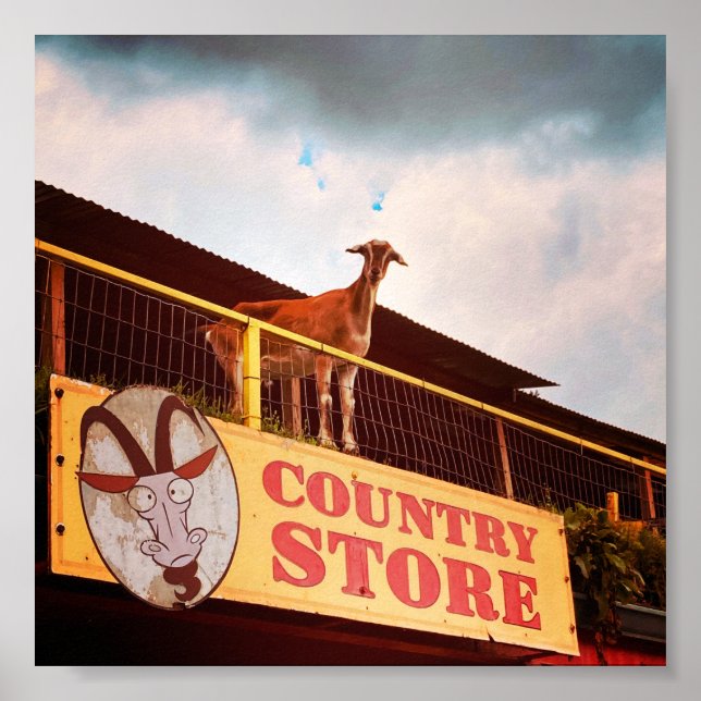 country store goat on the roof poster (Front)