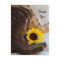 Country Sunflower Lace Western Wedding Thank You