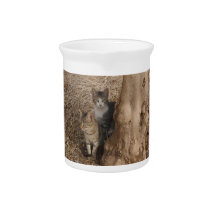 COUNTRYSIDE CATS FOR NATURE LOVERS