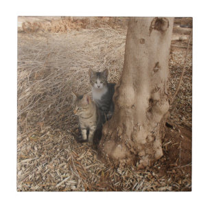 COUNTRYSIDE CATS FOR NATURE LOVERS TILE