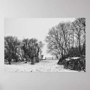 Countryside in the Snow Poster