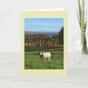 Countryside in winter, France Holiday Card