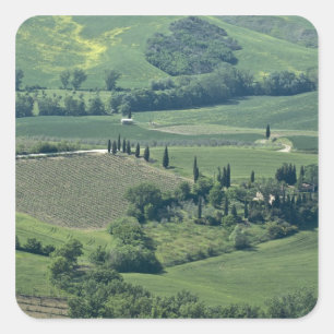 Countryside near Montepulciano, Val d'Orcia, Square Sticker