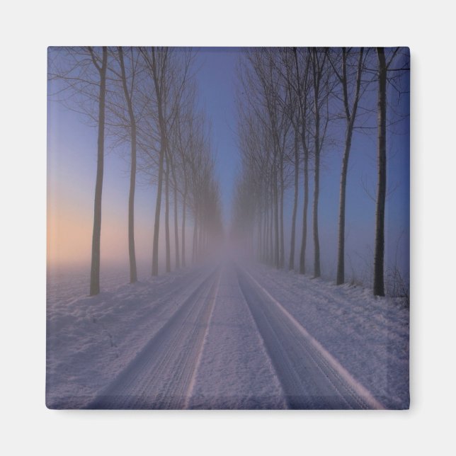 Countryside Nearby Castagnole | Piedmont Italy Magnet (Front)