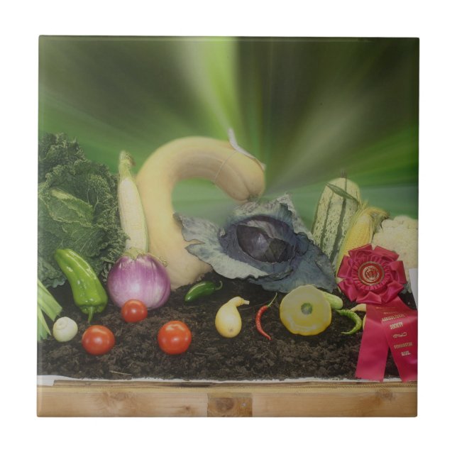 County Fair Vegetable Display Tile (Front)