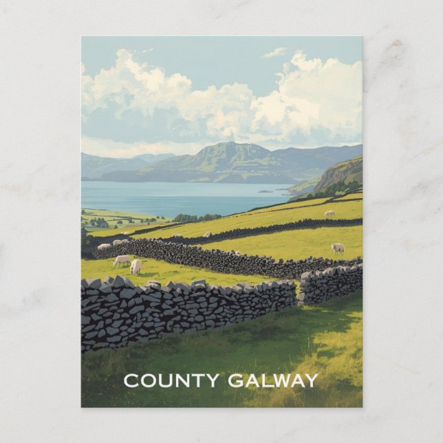 County Galway Ireland Postcard (Front)