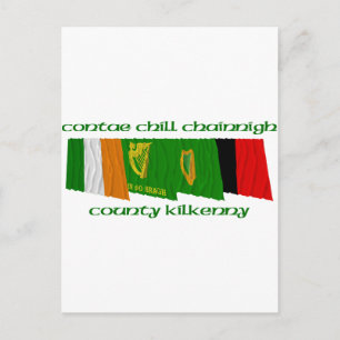 County Kilkenny Flags Postcard