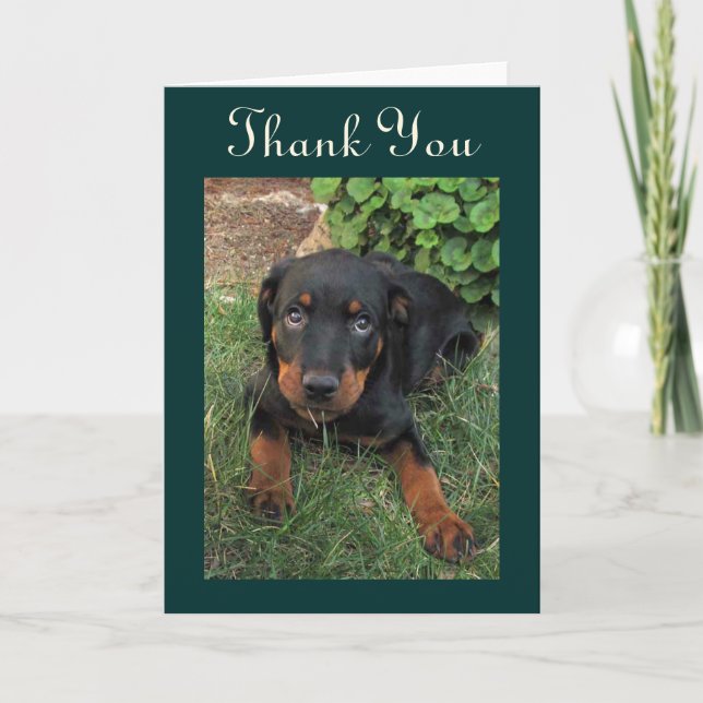 Coupable Rottweiler Carte de remerciements (Devant)