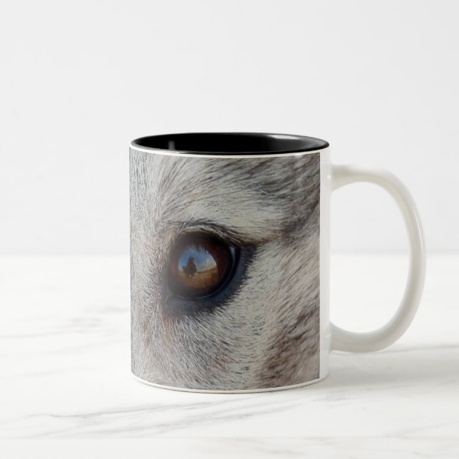 Coupe de café Wolf Mug Cool Wild Dog Cups & Cadeau (Droit)