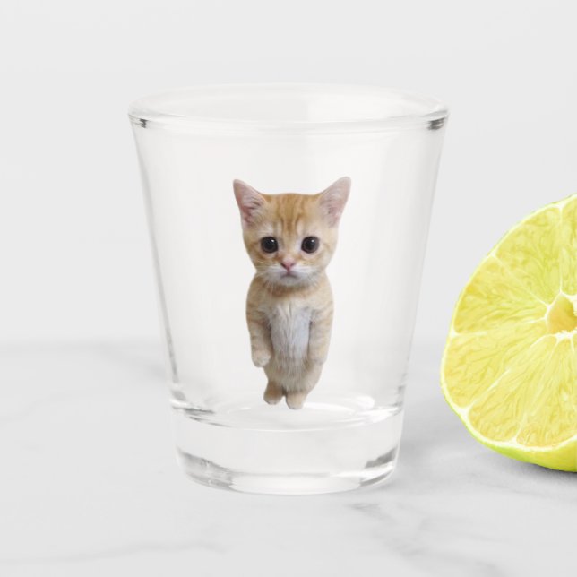 Coupe de verre El Gato Chat Mème (Devant)