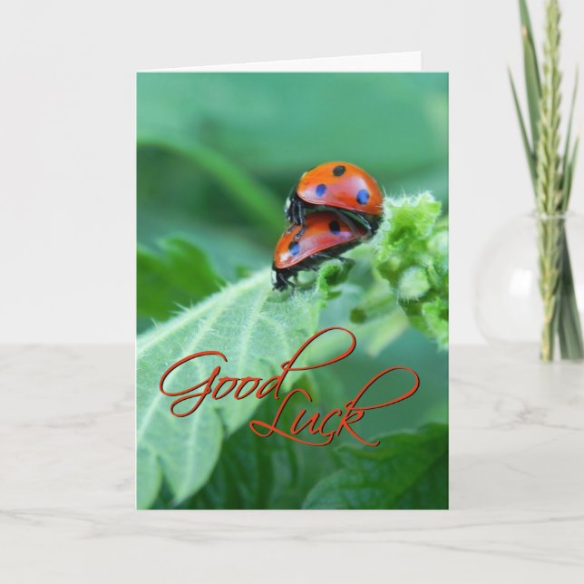 Couple de Ladybug - Carte de chance (Devant)
