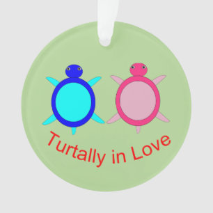 Couple de tortue mignonne