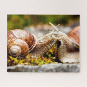 Couple d'escargot, puzzle