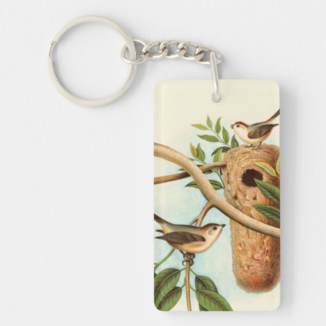 Couple d'oiseaux sur un nid perché sur une branche (Devant)