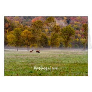 Couple Elk Penser À Votre Carte