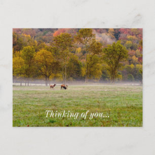 Couple Elk Penser De Vous Carte Postale