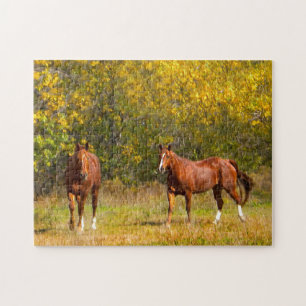 Couple Fall Horses Jigsaw Puzzle