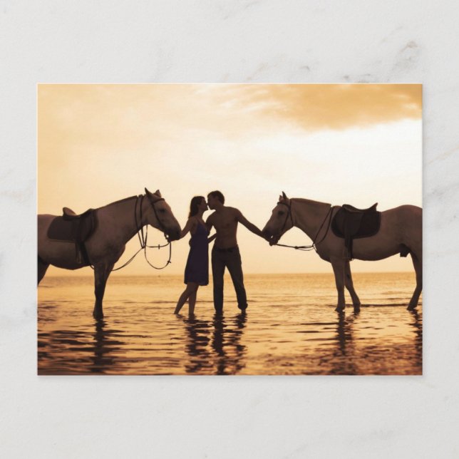 Couple Horses Postcard (Front)
