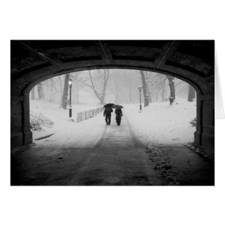 Couple in Snowstorm, Central Park