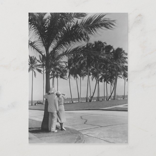 Couple standing at palm tree Rear view B&W Postcard (Front)