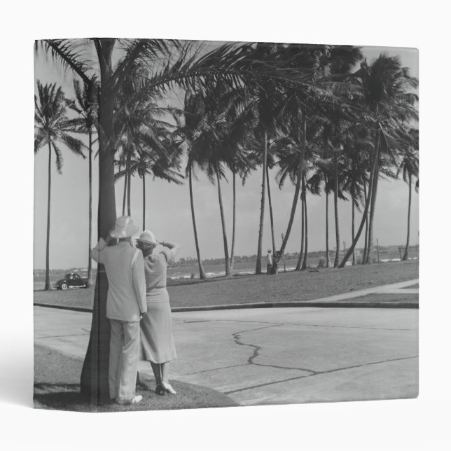 Couple Standing Under Tree Binder (Front/Spine)