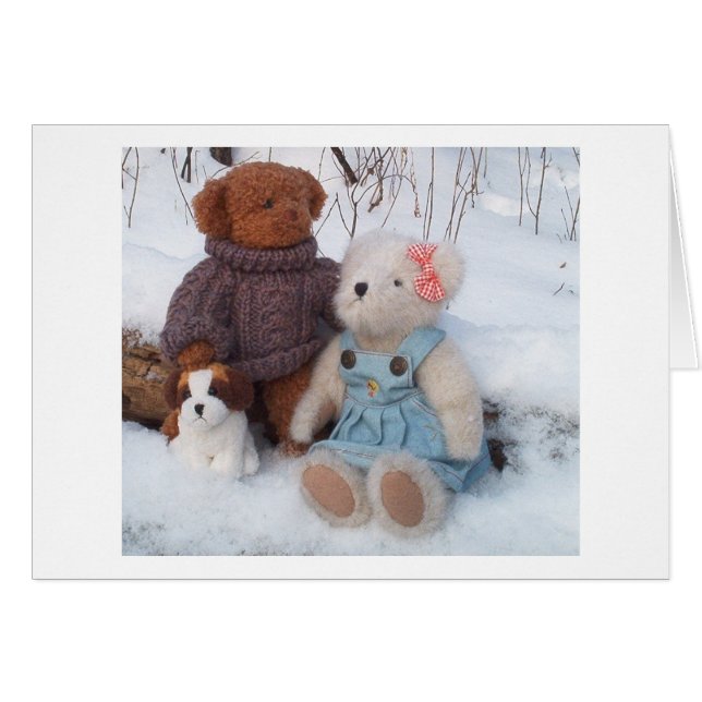 Couple teddy d'hiver avec chiot (Devant horizontal)