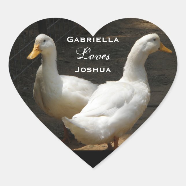 Couples de canard : Autocollants d'amour (Devant)