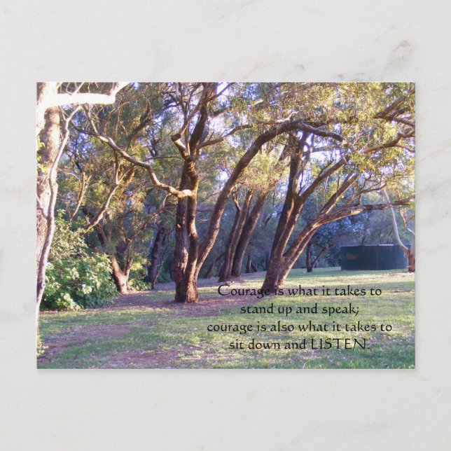 Courage is what it takes to stand up ... postcard (Front)