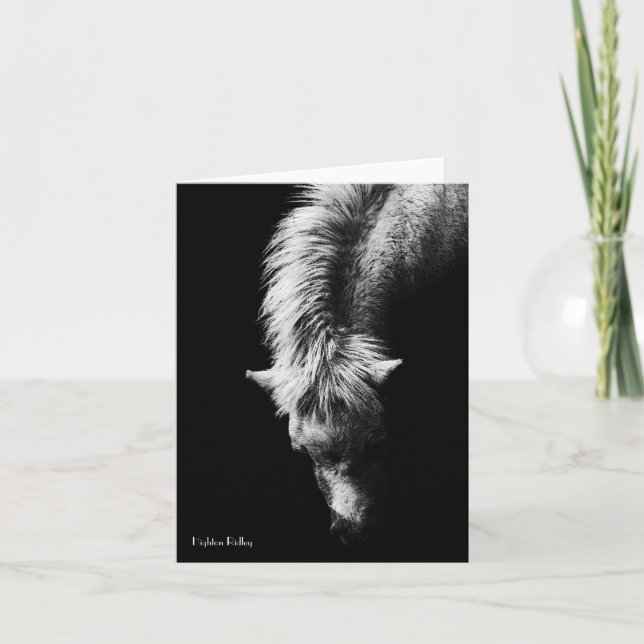 Courbe Du Noeud Cou / carte (Devant)