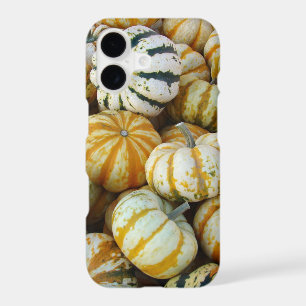 Courges
