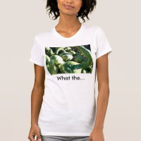 Courges drôles avec le T-shirt drôle de citation